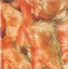 booklet1